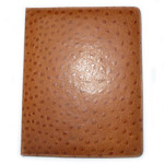 Чехол Loi Ostrich Leather case для Apple iPad 2/New iPad (Ostrich, кожанный)